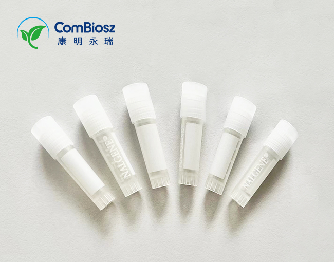 Desmopressin EP Impurity A
